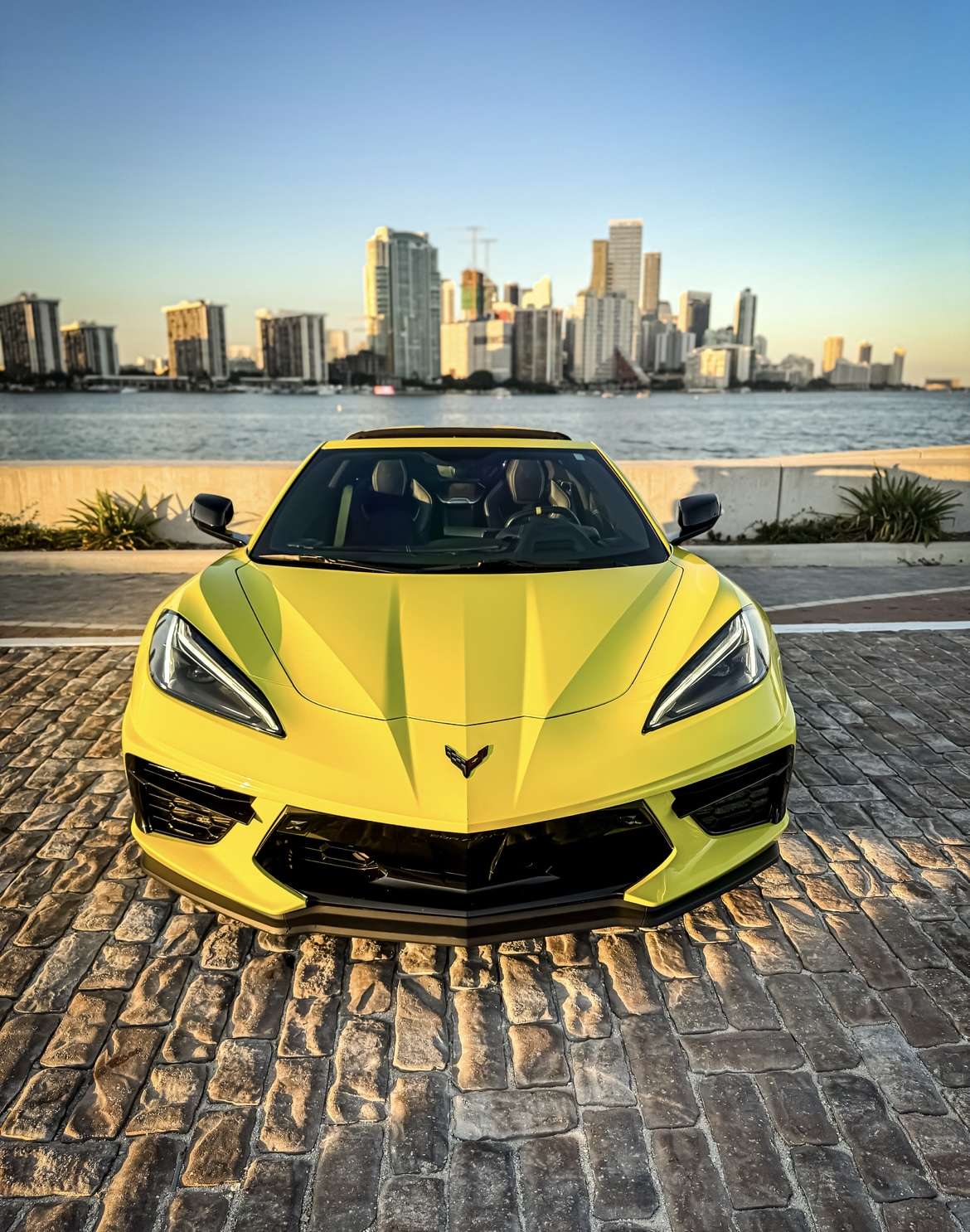 C8 Corvette Rental in Miami thumbnail 2