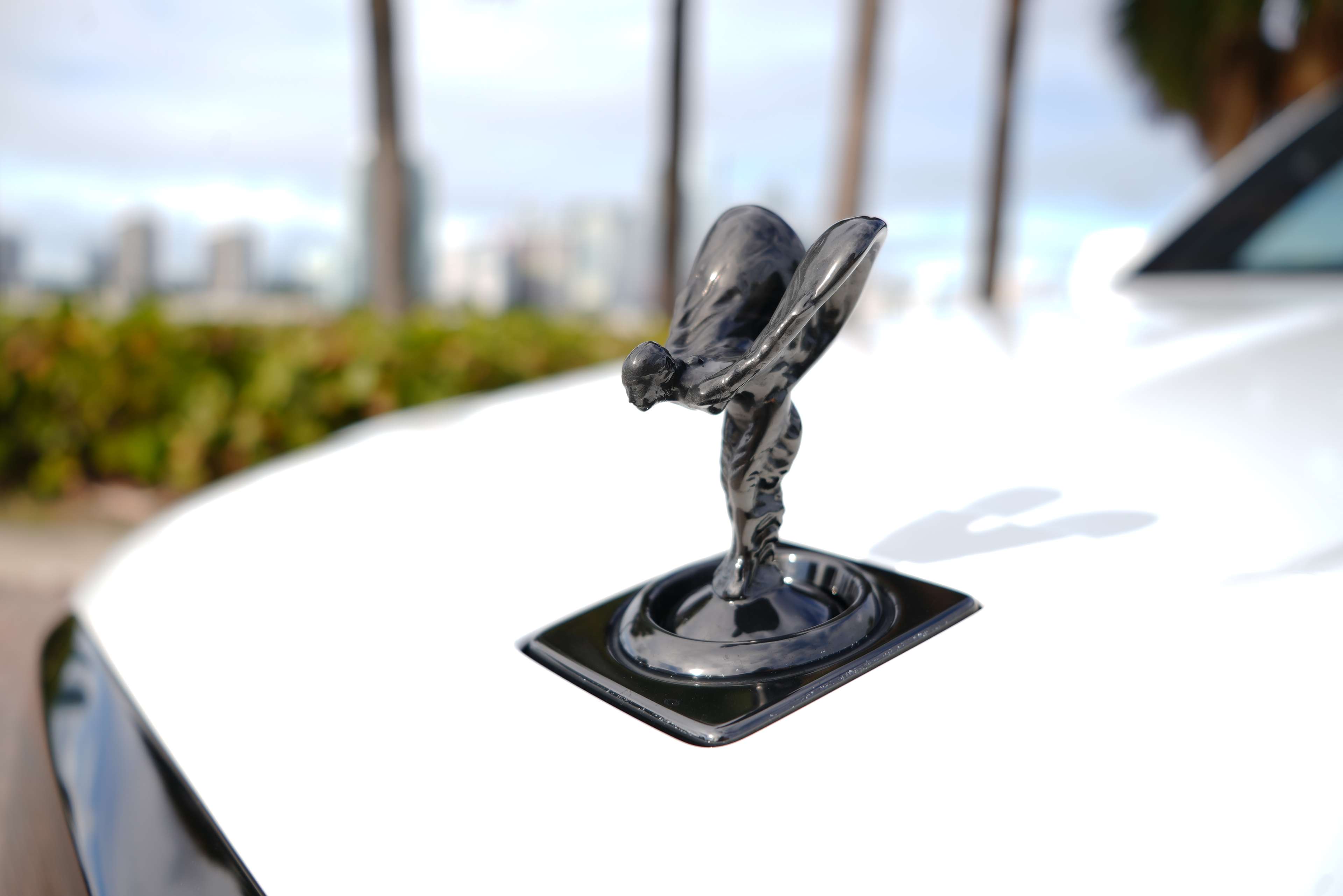 Rolls Royce Cullinan Rental in Miami thumbnail 5
